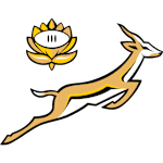 South Africa U20 logo