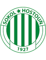 Sokol Hostouň logo