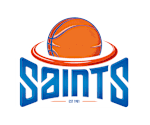 Wellington Saints football club logo