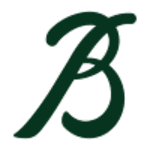 Bravos de León logo