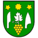 Tj Vinohrad Cebovce logo
