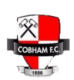 Cobham logo
