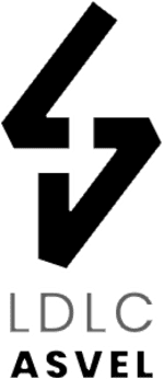 ASVEL Villeurbanne logo