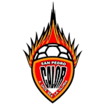 Club Calor logo
