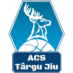 Acs Targu Jiu logo