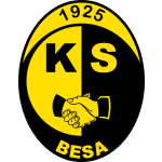 Besa logo