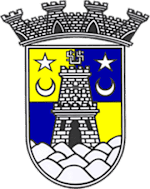 Sintrense logo
