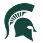 Michigan State logo