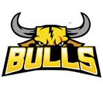 Franklin Bulls football club logo