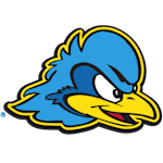 Delaware football club logo