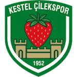 Kestelspor logo