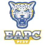 Bars Rostov logo