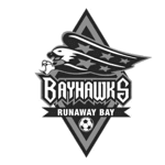 Bay Hawks logo