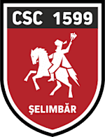 Viitorul Selimbar logo