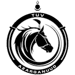 Central Stallions FC logo