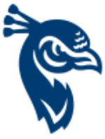 Saint Peter's (W) football club logo