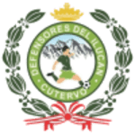Defensores (W) logo