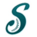 Saraperos de Saltillo logo