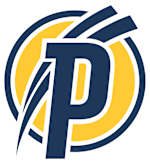 Puskas Akademia U19 logo