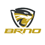Selmy Brno (W) logo