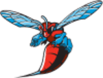 Delaware State (W) logo