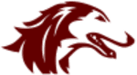 Southern Illinois (W) football club logo
