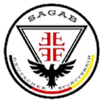 Sag Lomas De Zamora (W) football club logo