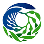 Viargoca FC logo