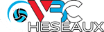 VBC Cheseaux (W) logo