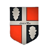 AB Premium/Rae Vald football club logo
