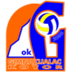 Gimnazijalac (W) logo