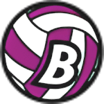 Span Brezovica football club logo