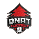 Qnat logo