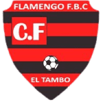 Flamengo FBC (W) football club logo