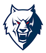 Neftekhimik Nizhnekamsk logo