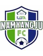 Namyangju logo