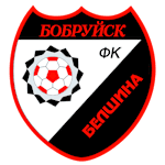 Belshina (W) logo