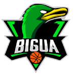 Club El Biguá (W) logo