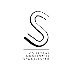 Spaarnestad logo