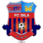 Dila Gori logo