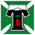 Deportes Temuco (W) football club logo