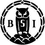 BSI logo
