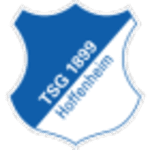 Hoffenheim II football club logo