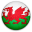 Wales (W) National Team
