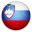 Slovenia U21 National Team