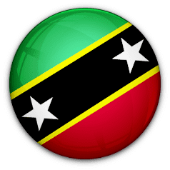 ເຊນ ຄິດສ ແລະ ເນວິດສ National Team
