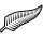 New Zealand National Team
