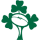 Ireland National Team