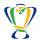 Copa do Brasil, Brasil