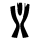 Superpuchar, Włochy